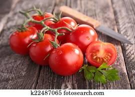tomato tomato