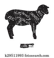 American cuts of lamb. Vintage typographic hand-drawn butcher cuts scheme American cuts of lamb. Vintage typographic hand-drawn butcher cuts scheme