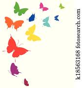butterflies butterflies