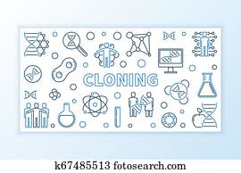 Human cloning articles image