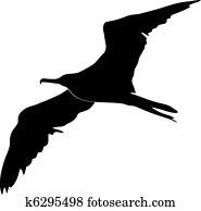 frigate bird frigate bird