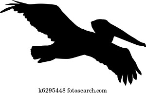 pelican pelican
