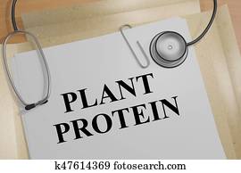Plant Protein - health concept Plant Protein - health concept