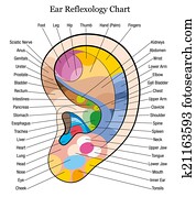 Ear reflexology chart description w