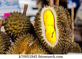 Fresh durian fruit from the durian garden for sale in the local market thailand tropical fruit