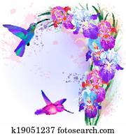 vektor, karte, mit, iris, blumen, und, kolibri vektor, karte, mit, iris, blumen, und, kolibri