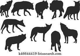 coiote, silueta, vetorial, ilustração