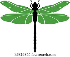 dragonfly dragonfly