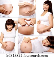 Pregnancy Pregnancy