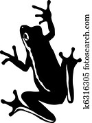 tree frog tree frog