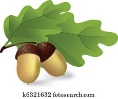 żołędzie Obrazy Clipart 9 890 żołędzie Możliwość Wyszukiwania