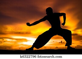 artes marciais
