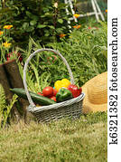 basket of vegetables and in a botanical garden basket of vegetables and in a botanical garden