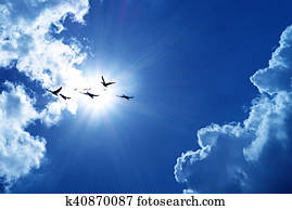 Blue sky with flying birds natural background Blue sky with flying birds natural background