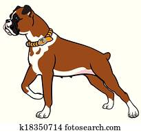 boxer hund boxer hund