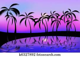 heavenly coast heavenly coast
