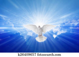 Holy Spirit came down like dove