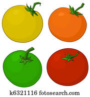 Tomatoes