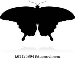 חרק של פרפר, בעל חיים, צללית