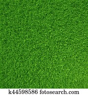 ירוק, grass., טבעי, רקע, texture.