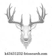 向かいなさい 麝香 鹿 型 Engraving クリップアート 切り張り イラスト 絵画 集 K Fotosearch