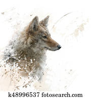 Close Up image of Coyote watercolor Close Up image of Coyote watercolor