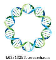 DNA Strands on circle DNA Strands on circle