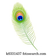 Peacock feather Peacock feather