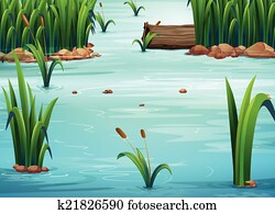 teich teich