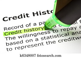"Credit history" highlighted in green