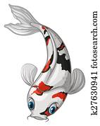 Koi