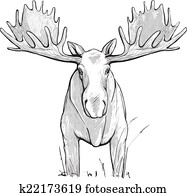 Moose Illustration Moose Illustration