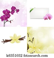 Orchids And Vanilla Set Orchids And Vanilla Set
