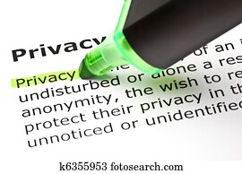 'Privacy' highlighted in green