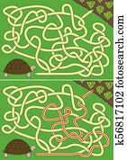 tartaruga, labirinto