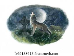 wolf wolf