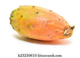 פרי של קקטוס