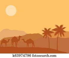 Desert Desert