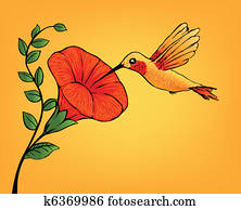 hummingbird, e, flor