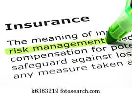 'risk, management', destacado, debajo, 'insurance'
