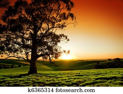 Rural Sunset Rural Sunset