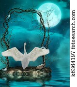 swans in the moonlight