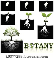 botanik botanik