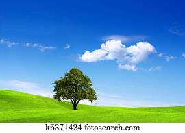 Clean Environment Clean Environment