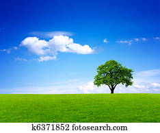 Green nature landscape