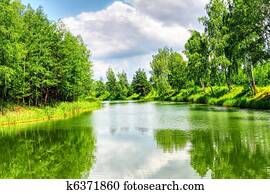 verde, paisagem natureza