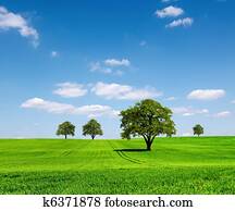 ירוק, אקולוגיה, נוף