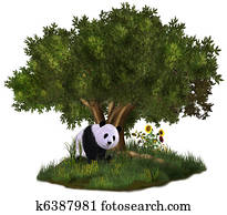 cute Panda cute Panda