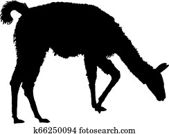 Llama silhouette Llama silhouette