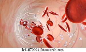 Oxygen molecules and Erythrocytes floating in the blood stream Oxygen molecules and Erythrocytes floating in the blood stream